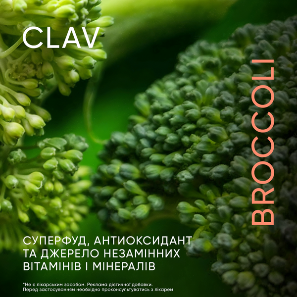 Brokkoli ExtraktЕкстракт броколі, 10% сульфорафану totis_0446070822 фото