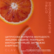 Citrus BioflavonoideАнтиоксидантний захист, підтримка судин та імунітету totis_2397675359 фото 5